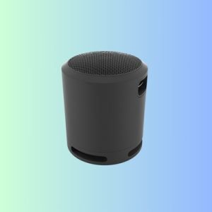 Speaker